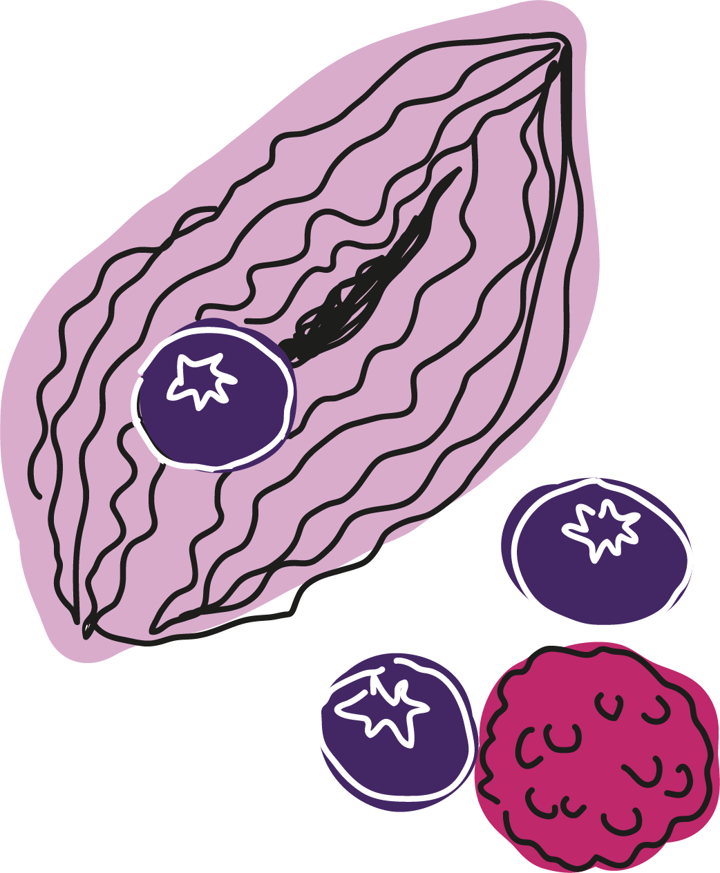Vulva_Toertchen_color